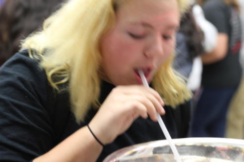 IMG 1344