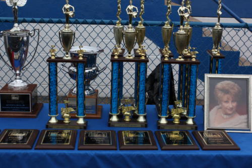 MCI Awards Snapshot's